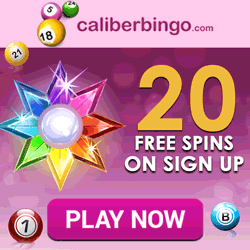 No deposit free spins bingo game